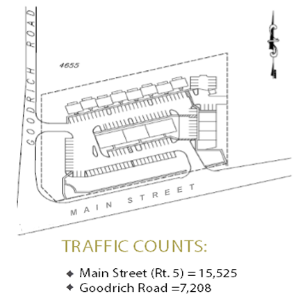 Traffic Counts